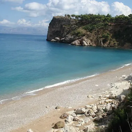 Rosada