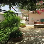 Rosada * 卡斯泰拉马莱